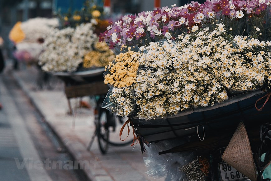 When winter comes, flower sellers' bicycles full of beautiful white daisies begin to appear on the streets of Hanoi. (Photo: VNA)