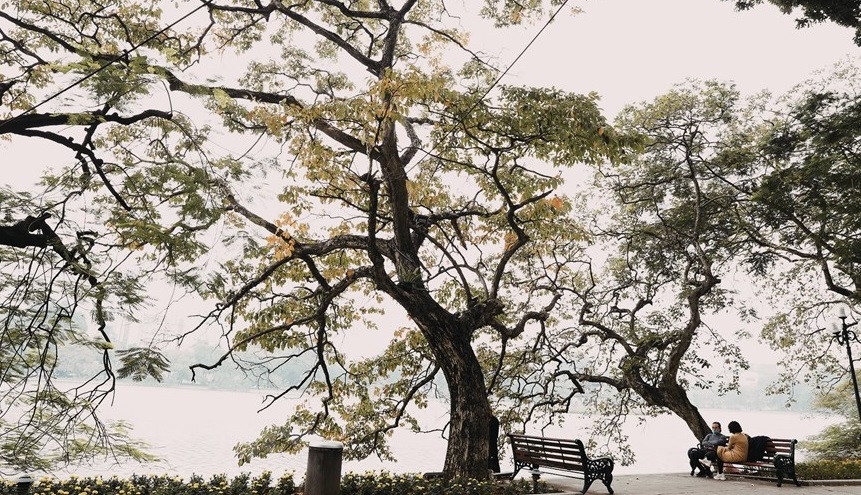 Hanoi brings its own beauty in each season of a year: spring, summer, autumn and winter. Hanoi winter lasts from early December of the previous year to February of the following year. (Photo: VNA)