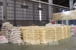 Vietnam exports 6.6 million tonnes of rice, earning nearly 3.4 billion USD as of September 15. (Photo: VNA)