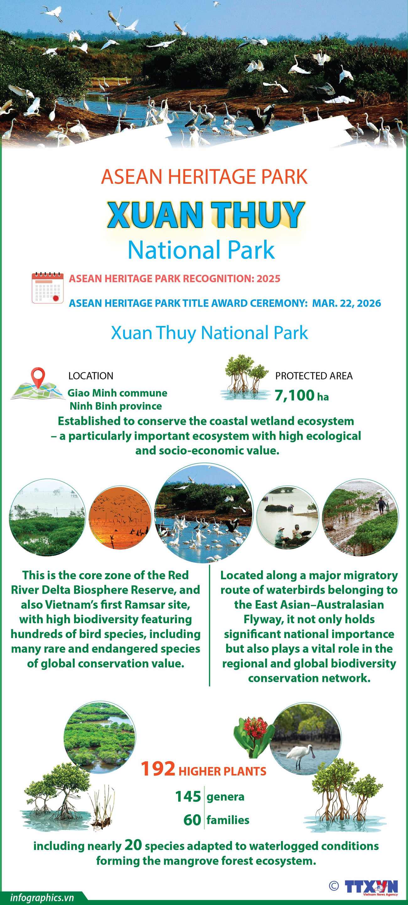 26032026-xuan-thuy-national-park-phuong-yen-h84.jpg