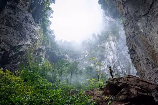 The second sinkhole of Son Doong Cave, also called "Garden of Edam" (Photo: Oxalis)