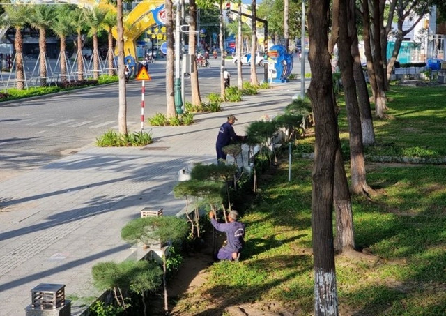 Workers take care of trees in Phan Rang - Thap Cham city, Ninh Thuan province. (Photo: VNA)