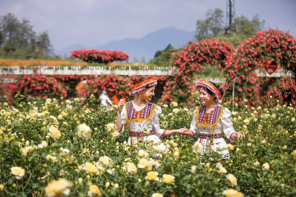 rose-festival.jpg