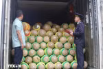 Customs officials check agricultural products before exporting at Huu Nghi Border Gate in Lang Son province (Photo: VNA)