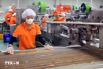 The private sector is expected to make breakthroughs for national development. (Photo: VNA)