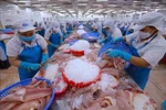 Vietnam earned 15.72 billion USD in agro-forestry-aquatic product exports during Q1 2025, up 13.1% year on year. (Photo: VNA)