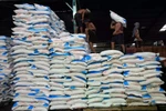 Workers unload the fertilisers at a distribution centre in Medan on December 5, 2024. (Photo: Antara)