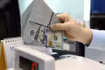 Green credit has expanded steadily with outstanding loans reaching 730 trillion VND (431 billion USD) as of the end of June, up 7.35% from the end of 2024. (Photo: VNA) 