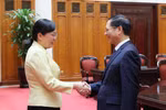 Deputy Prime Minister Bui Thanh Son meets with Zhang Guozhi, Deputy Governor of China’s Guangdong province, in Hanoi on October 28. (Photo: VNA)
