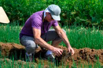 Foreign tourists experience the feeling of being a farmer in Tra Que vegetable village (Photo: VietnamPlus)