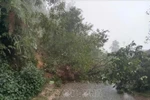 Landslide in Lao Cai province (Photo: VNA)