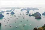 A view of Ha Long Bay in Quang Ninh province (Photo: VNA)