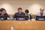 Permanent Deputy Minister of Foreign Affairs Nguyen Minh Vu (middle) chairs the meeting as SPLOS 35 Chair (Photo: VNA)