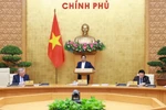 Prime Minister Pham Minh Chinh addresses the meeting. (Photo: VNA)