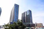 2025 marks new cycle of housing market: Insider