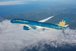 Vietnam Airlines JSC (HVN) receives approval from the State Securities Commission of Vietnam to issue 900 million shares at 10,000 VND apiece. (Photo: VNA)