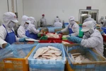 Workers at GODACO factory in My Tho Industrial Park process tra fish for export. (Photo: VNA)