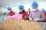 Workers pack cashew nuts at Duc Thinh production and trading co., ltd., former Binh Phuoc province (Photo: VNA)