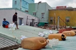 Residents in Gia Lai province proactively reinforce and secure their rooftops to cope with typhoon Koto. (Photo: VNA)