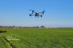 Using drones to spray pesticides in the An Nhut rice fields in Long Dien commune of Ho Chi Minh City. (Photo: VNA)