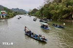Yen Stream is bustling with boats carrying visitors to celebrate the Huong Pagoda Festival. (Photo: VNA)