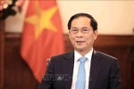 Deputy Prime Minister and Minister of Foreign Affairs Bui Thanh Son. (Photo: VNA)
