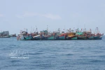 Illustrative image (Photo: VNA)