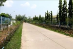 A rural road in Duc Linh district, Binh Thuan province (Photo: VNA)