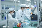 The Vietnamese Government has identified the semiconductor industry as a key breakthrough sector, capable of driving the country into a new phase of development. (Photo: VNA)