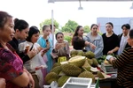 Tourists and locals shop for Vietnamese durian products. (Photo: VNA)