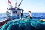 The Coast Guard Region 3 Command launches a peak campaign to strengthen patrols, inspections, and law enforcement to combat illegal, unreported, and unregulated (IUU) fishing. (Photo: VGP)
