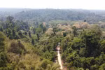 A view of the Dong Nai Cultural and Natural Reserve (Photo: VNA)