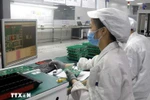 At a semiconductor factory. (Photo: VNA)