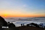 Tourists come to hunt clouds in Dong Cao Plateau. (Photo: VNA)