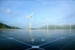 Wind and solar power projects in Loi Hai and Bac Phong communes, Thuan Bac district, Ninh Thuan province. (Photo: VNA)