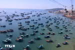 Vietnam advocates sustainable development of its marine economy and aims to maintain the sustainable growth of the fisheries sector with a fleet structure and fishing methods aligned with the aquatic resource exploitation capacity. (Photo: VNA)