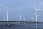 Wind turbines constructed off the coast of Ca Mau. (Photo: VNA)