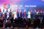 Delegates at the Summit (Photo: VNA)