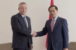 Deputy Prime Minister and Minister of Foreign Affairs Bui Thanh Son (R) shakes hands with Ambassador Heraldo Munoz, Special Envoy of the Chilean President for Ocean affairs, and former Minister of Foreign Affairs of Chile. (Photo: VNA)