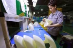 At a Taiwanese factory in An Duong industrial park, Hai Phong (Photo: VNA)