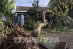 Heavy rains from November 3-7disrupt production and daily life - Illustrative image (Photo: VNA)