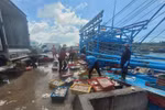 Catch unloading is strictly monitored by cross-checking fishing logbook data with the VMS system, according to the HCM City Department of Agriculture and Environment. (Illustrative photo: VNA)