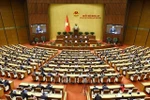 At the National Assembly's 9th extraordinary session (Photo: VNA)