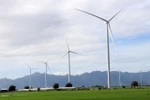 A wind power farm in Ninh Thuan province. (Photo: VNA)