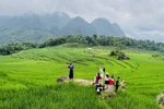 Pu Luong community tourism area in Thanh Hoa province attracts domestic and international tourists (Photo: VNA)