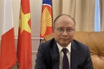 Vietnamese Ambassador to France Dinh Toan Thang (Photo: VNA)