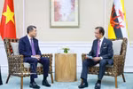 Vietnam seeks stronger ties with ASEAN nations, ADB