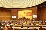 An overview of the conference (Photo: VNA)