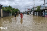Flooding in Dien Dien commune, Khanh Hoa province. (Photo: VNA)