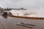 High waves in Ly Son island, Quang Ngai province due to Typhoon Kalmaegi. (Photo: VNA)